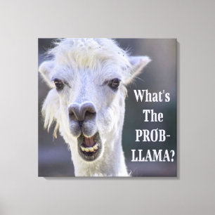 Toile Qu'est-ce que le Prob-Llama ? Jote Drôle LLAMA