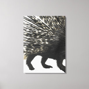 Toile Quilles de Porcupine
