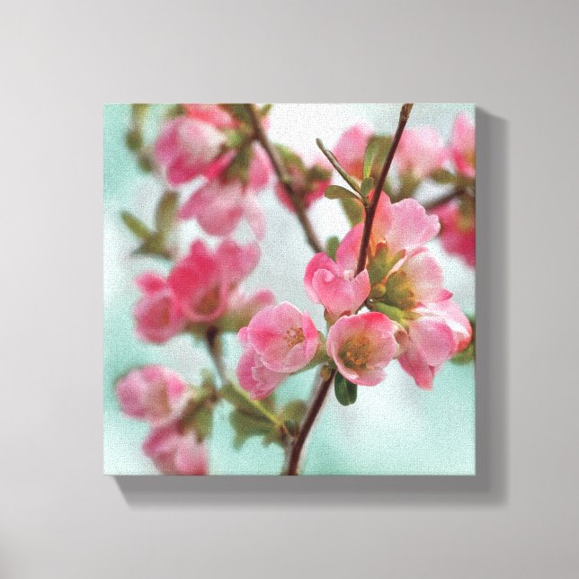 Toile Quince blossoms (Recto)