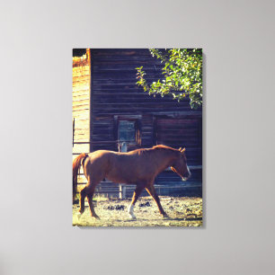 Toile Randonnée à cheval Brown