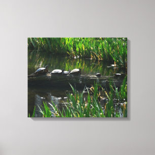 Toile Rangée de tortues Green Nature Photo