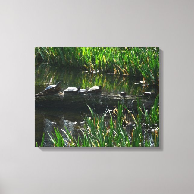 Toile Rangée de tortues Green Nature Photo (Recto)