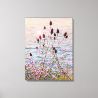 Rayons et chardons sauvages brillants