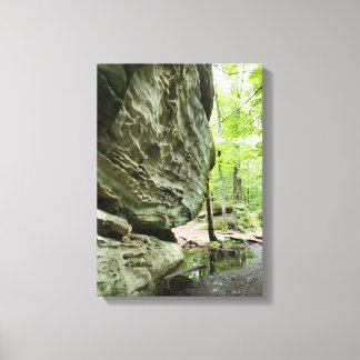 Toile Real Nature Canvas Print | Misty Forest Home Decor