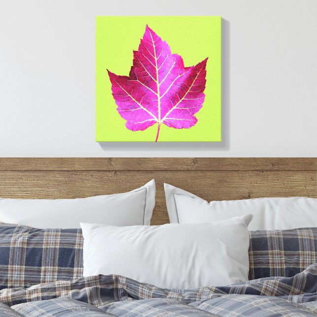 Toile Red Autumn Maple Leaf on Green Background (Insitu(Chambre))