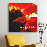 Red Gerbera Daisy Bold Modern Photo Inspire Script