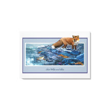 Redfox sur la plage