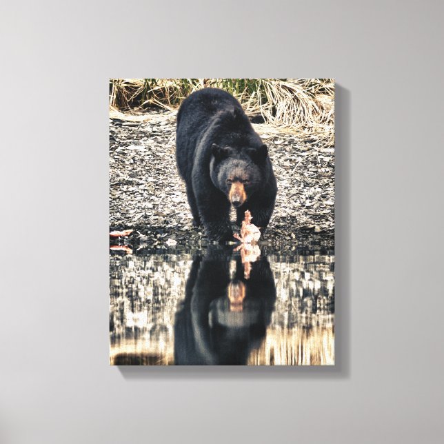 Toile Réflexions de l'ours noir (Recto)