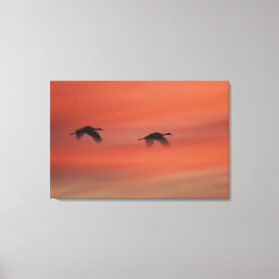 Toile Refuge faunique de Bosque del Apache   Nouveau-Mex