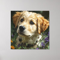 Regard de la Fleur Sauvage Golden Puppy
