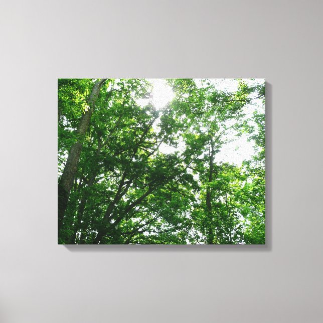 Toile Regard sur les arbres d'été (Recto)