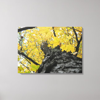 Toile Regard sur les feuilles d'automne jaunes