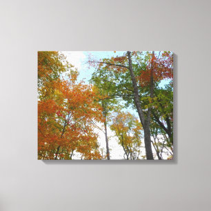 Toile Regardant vers le haut les feuilles d'automne I Fe