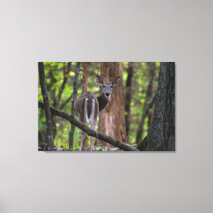 Toile Regarder le passé