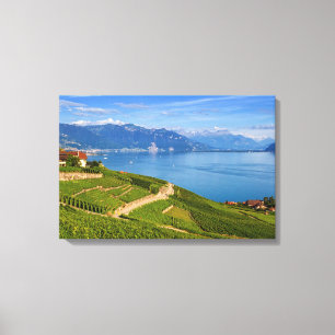 Toile Région de Lavaux, Vaud, Suisse