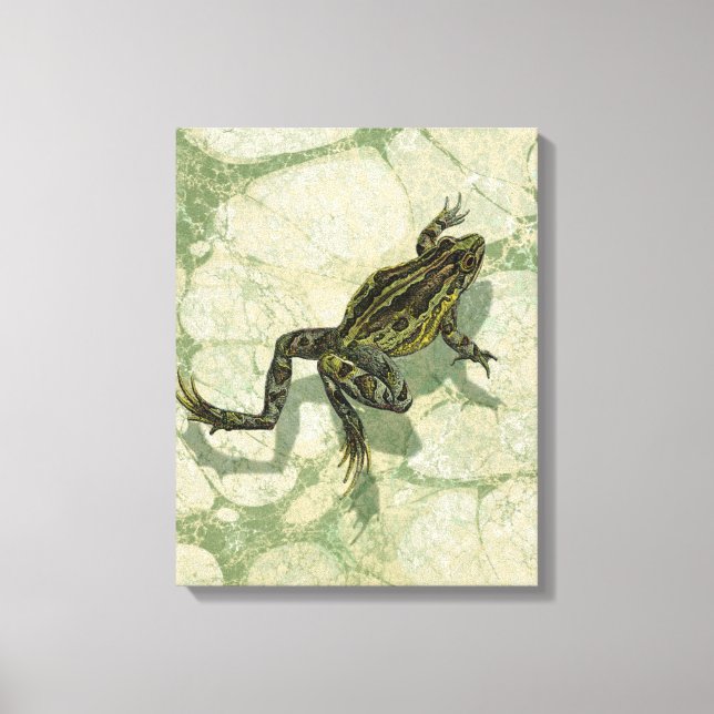 Toile Remonter le crapaud dans l'eau (Recto)