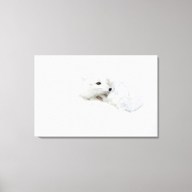 Toile Renard arctique recouvert en hiver (Recto)