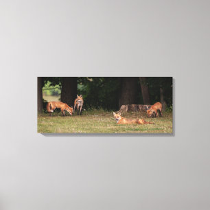 Toile Renard Family