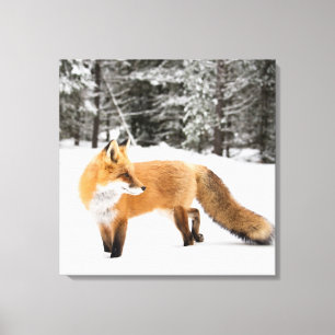 Toile Renard rouge en neige blanche