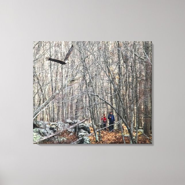 Toile Rencontre de l'aigle à tête blanche (Recto)
