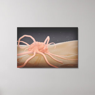 Toile Rendu 3D De La Phagocytose De Macrophage