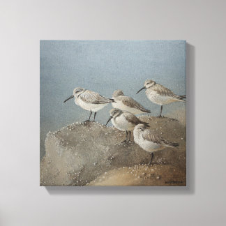 Toile Repose Sanderlings #2 Peinture d'Ezartesa