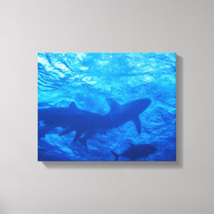 Toile Requins au trou bleu