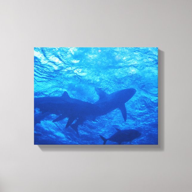 Toile Requins au trou bleu (Recto)