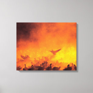 Toile Réserve nationale de faune Bosque del Apache, NM