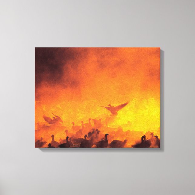 Toile Réserve nationale de faune Bosque del Apache, NM (Recto)