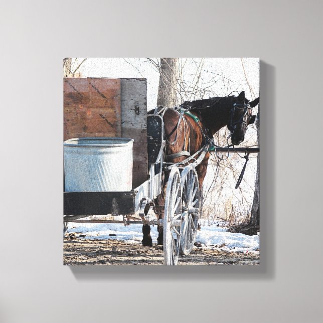 Toile Retour (Recto)