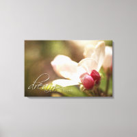 Rêvez un petit rêve - Apple Blossom- Canvas Art
