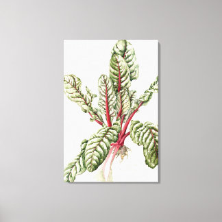 Toile Rhubarb Chard 1992