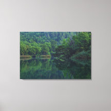 Rivière du matin paisible avec réflexion des arbre