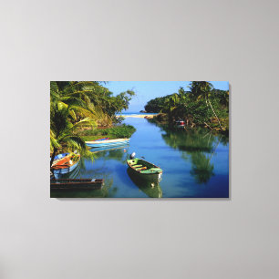 Toile Rivière pittoresque près d'Ocho Rios en Jamaïque