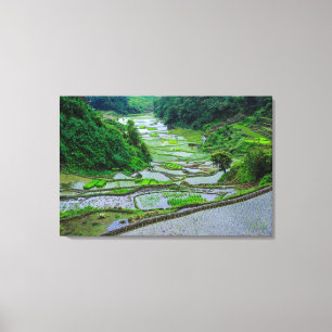 Toile Rizières de Banaue, Luzon