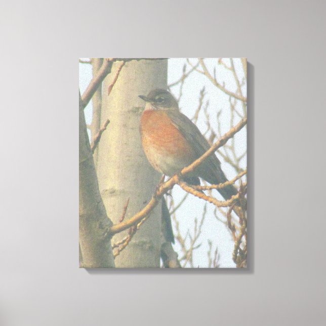 Toile - Robin d'hiver (Recto)