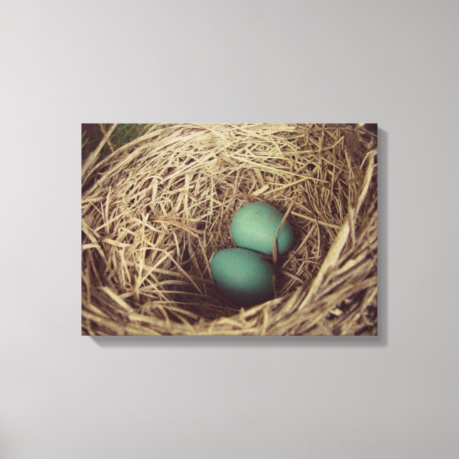 Toile Robins Oeufs dans le nid (Recto)