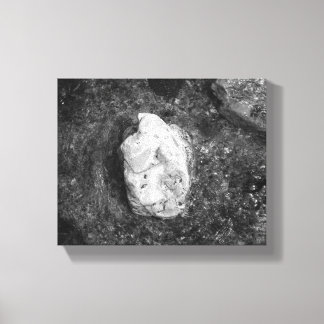 Toile Rocher noir et blanc dans le lac Eau 8x10