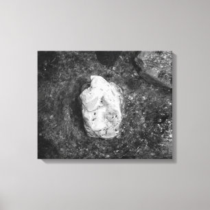 Toile Rocher noir et blanc dans l'eau du lac 16x20