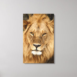 Toile Roi Lion Avec Grand Mane