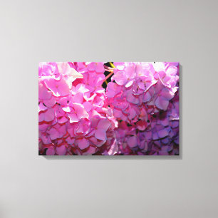 Toile Romantique rose floral élégant hydrangeas