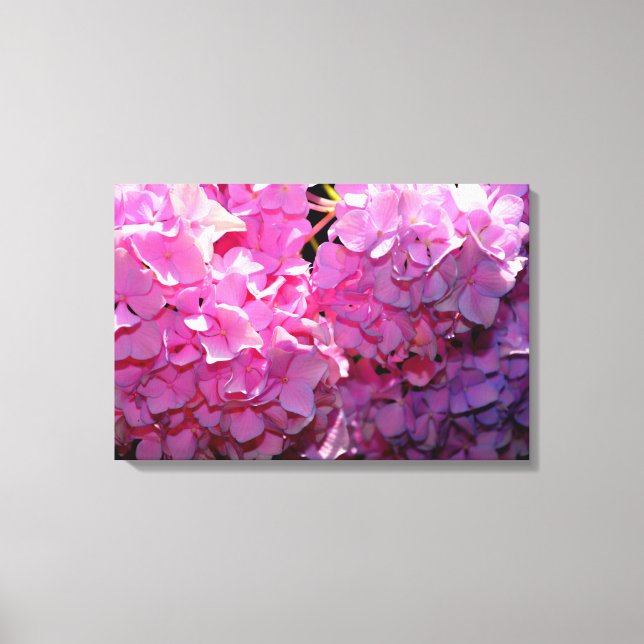 Toile Romantique rose floral élégant hydrangeas (Recto)