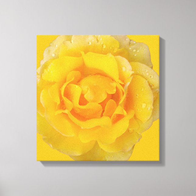 Toile Romantique Rose Jaune gouttes d'eau (Recto)