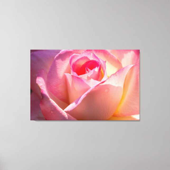Toile Rose (Recto)
