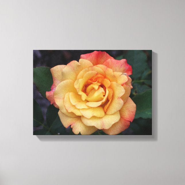 Toile Rose Beautiful Pink and Yellow Floral (Recto)