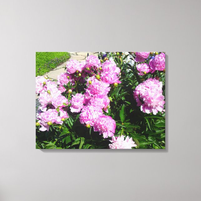 Toile rose blanc (Recto)