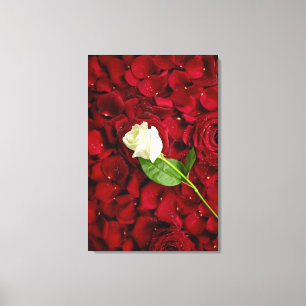 Toile Rose blanc sur les pétales rouges