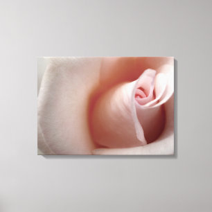 Toile Rose Cloud