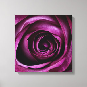 Toile Rose de Deep